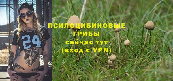 мет Пенза