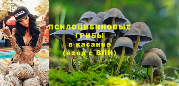 экстази Кукмор