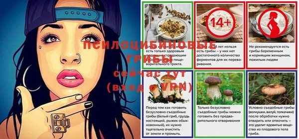 метадон Лагань
