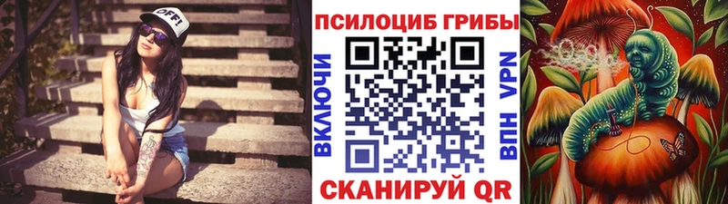 Купить где  Кимовск  Галлюциногенные грибы мицелий 